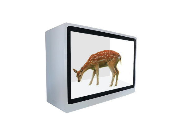 Transparent LCD Display